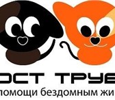 Foto в Домашние животные Отдам даром http://vkontakte.ru/ club14722936Группа для в Курске 1