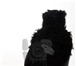 Фотография в Авторынок Рули, оплетки, чехлы Сезонная распродажа от компании "Лабас".Меховые в Омске 834