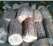 Foto в Строительство и ремонт Строительные материалы Продам дрова дубовые,  березовые не колотые в Самаре 1 500