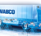 Foto в Прочее,  разное Разное Компания ООО "ПО ОмКИТ" предлагает широчайший в Нижнем Новгороде 120 000