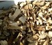 Foto в Прочее,  разное Разное Все сорта чистые, не червивые,хорошо просушённые, в Барнауле 2 000