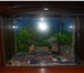 Изображение в Мебель и интерьер Другие предметы интерьера Продам аквариум на 150 литров с декорациями. в Томске 15 000