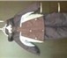 Изображение в Одежда и обувь Детская одежда Продаю детский демисезонный костюм на байке в Гатчина 500