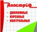 Изображение в Образование Курсовые, дипломные работы Снова сессия? Снова трудные контрольные, в Красноярске 0