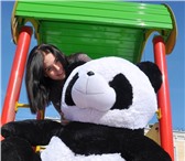 Foto в Для детей Детские игрушки Большая красивая плюшевая панда принесет в Санкт-Петербурге 6 290