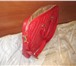 Изображение в Одежда и обувь Аксессуары срочно продам-стильную сумку для ноутбука в Томске 1 500