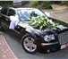 Изображение в Авторынок Аренда и прокат авто Вы ищете автомобиль для свадебного кортежа? в Оренбурге 600