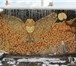 Фото в Прочее,  разное Разное Продаются колотые, берёзовые дрова. Возим в Перми 1 200