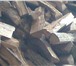 Изображение в Строительство и ремонт Строительные материалы Продам дрова дубовые,  березовые не колотые в Самаре 1 500