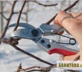 Foto в Работа Вакансии Срочно требуются рабочие мужчины и женщины в Воронеже 12 000