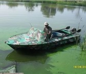 Фотография в Хобби и увлечения Рыбалка Продам лодку ОБЬ (первая модель)в хорошем в Балаково 50