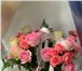Foto в Развлечения и досуг Разное Доставка цветов, шаров, кальянов в Махачкале!Доставка в Махачкале 700