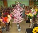 Фото в Домашние животные Растения продаётся иск.дерево сакуры(собств.производство) в Москве 1 850