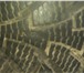 Фото в Авторынок Шины Комплект зимней резины на дисках,Нокия хак.4 в Липецке 6 500