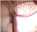 Foto в Недвижимость Аренда жилья Сдам квартиру в аренду на длительный срок. в Екатеринбурге 11 000