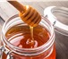 Фотография в Красота и здоровье Товары для здоровья 100% натуральный Алтайский мёд с собственной в Москве 250