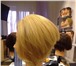 Foto в Красота и здоровье Салоны красоты Предлагаю парикмахерские услуги у себя или в Москве 500