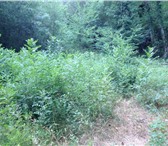 Фото в Недвижимость Земельные участки •Продается участок в Ялте (пос.Виноградное) в Москве 34 800 000