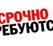 Фотография в Работа Вакансии Обязанности: Прием входящих телефонных звонков, в Барнауле 17 600
