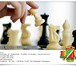 Фото в Спорт Спортивные школы и секции Обучение шахматам и шашкам в Зеленограде в Зеленоград 600