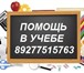 Изображение в Образование Курсовые, дипломные работы Профессионал поможет  выполнить любые студенческие в Набережных Челнах 0