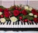 Фотография в Образование Репетиторы Предлагаю обучение игре на синтезаторе. фортепиано в Улан-Удэ 400