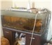 Фотография в Домашние животные Рыбки Продам аквариум и рыбок.1- аквариум 250 литров. в Томске 15 000