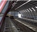 Фотография в Прочее,  разное Разное В комплект пельменного аппарата ЛП-450 входят:
Пельменный в Ростове-на-Дону 0