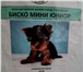 Foto в Домашние животные Корм для собак Корма для собак и кошек «Bisko» производятся в Лиски 135