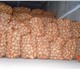 Продаём картофель Оптом, сорт Удача, кал