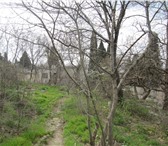 Foto в Недвижимость Земельные участки Продам земельный участок в г. Ялта по ул. в Ялта 12 600 000