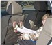 Фото в Авторынок Чехлы и накидки на сиденья Новый защитный чехол в автомобиль, вешается в Москве 400