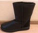 Фото в Одежда и обувь Женская обувь продаю новые угги черные австралия замша в Москве 4 000