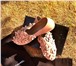 Фото в Одежда и обувь Женская обувь Кожанные эспадрильи Шанель 2014 с камелиями

Полностью в Москве 3 500