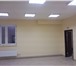 Фото в Недвижимость Аренда нежилых помещений Нежилое помещение в цокольном этаже,  готовое в Пушкино 0