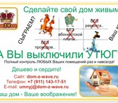 Изображение в Строительство и ремонт Разное New! Реализация беспроводного умного дома в Санкт-Петербурге 0