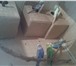 Foto в Домашние животные Птички рабочие пары волнистых не разлучников карел в Таганроге 10