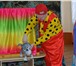 Фотография в Развлечения и досуг Организация праздников Кукольные спектакли для детей Заказать кукольный в Волгограде 0