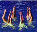 Изображение в Спорт Спортивные школы и секции Клуб синхронного плавания &quot;Волна Успеха&quot; в Москве 4 500