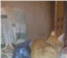 Тело рыси, прыжок зайца, душа собаки и сердце ангела 4347170 Карельский бобтейл фото в Тамбове