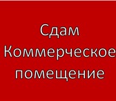 Foto в Недвижимость Коммерческая недвижимость "В аренду офис (можно под склад) на улице в Санкт-Петербурге 45 000