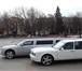 Фото в Авторынок Аренда и прокат авто Лимузины Chrysler и Bentley на свадьбы и в Белая Калитва 1 500