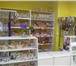 Фотография в Недвижимость Коммерческая недвижимость Продам действующий бутик по продаже посуды. в Ульяновске 150 000