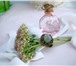 Foto в Работа Вакансии Красивый и уютный магазин ювелирных изделий в Ростове-на-Дону 35 000