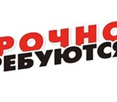 Изображение в Работа Работа для студентов От соискателей требуются следующие профессиональные в Новокузнецке 35 000