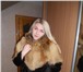 Изображение в Одежда и обувь Женская одежда Продам новый полушубок из меха лисы ( верх) в Калининграде 25 000