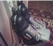 Изображение в Спорт Другие спортивные товары Продам лыжи б/у с палками, ботинками, размер в Красноярске 3 000