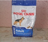 Изображение в Домашние животные Корм для животных Продам сухой корм Royal Canin. Предназначен в Нижнекамске 800