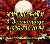 Фото в Прочее,  разное Разное Продажа живых раков. Доставка, самовывоз в Зеленоград 1