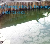 Фотография в Строительство и ремонт Другие строительные услуги Многие мечтают о природном водоеме
 не больших в Москве 10